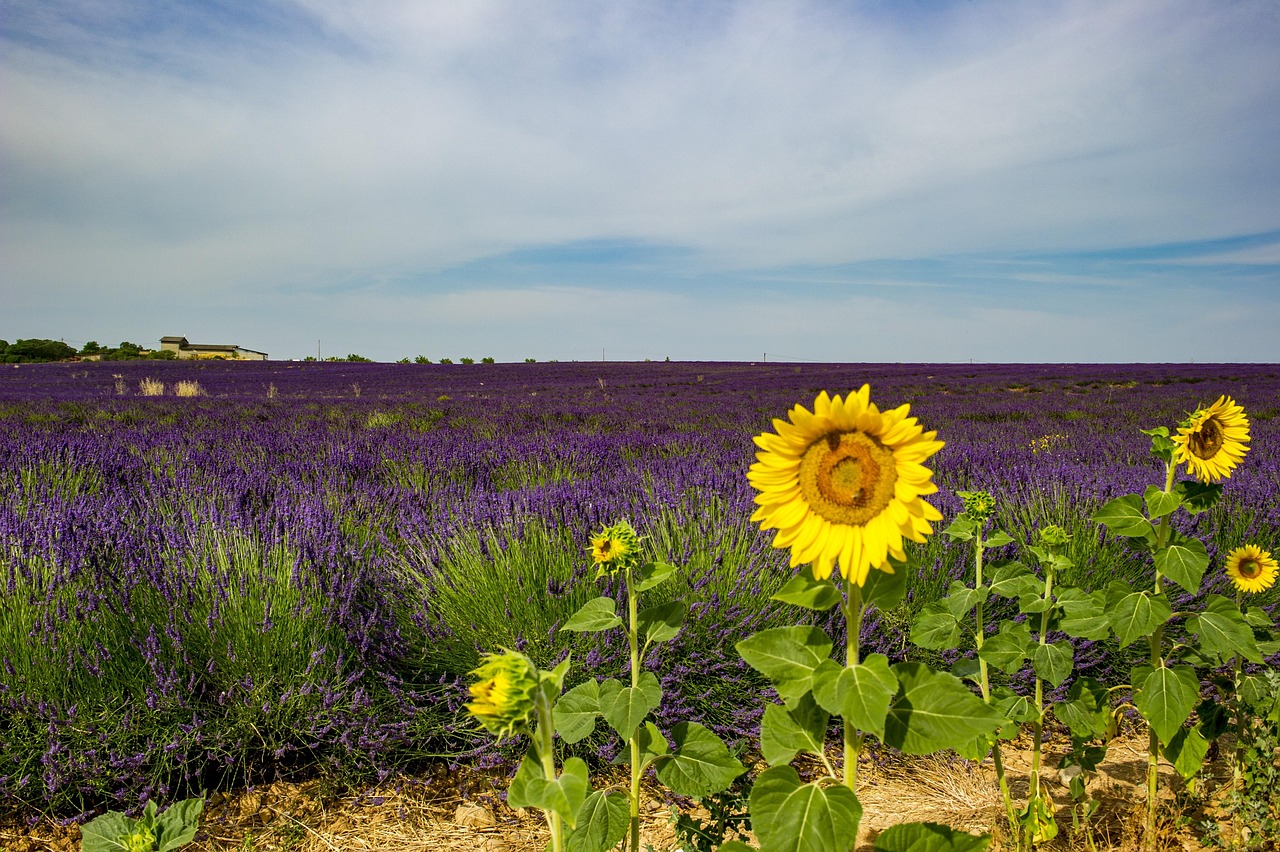 Provence mit Kindern: 27x Ausflüge