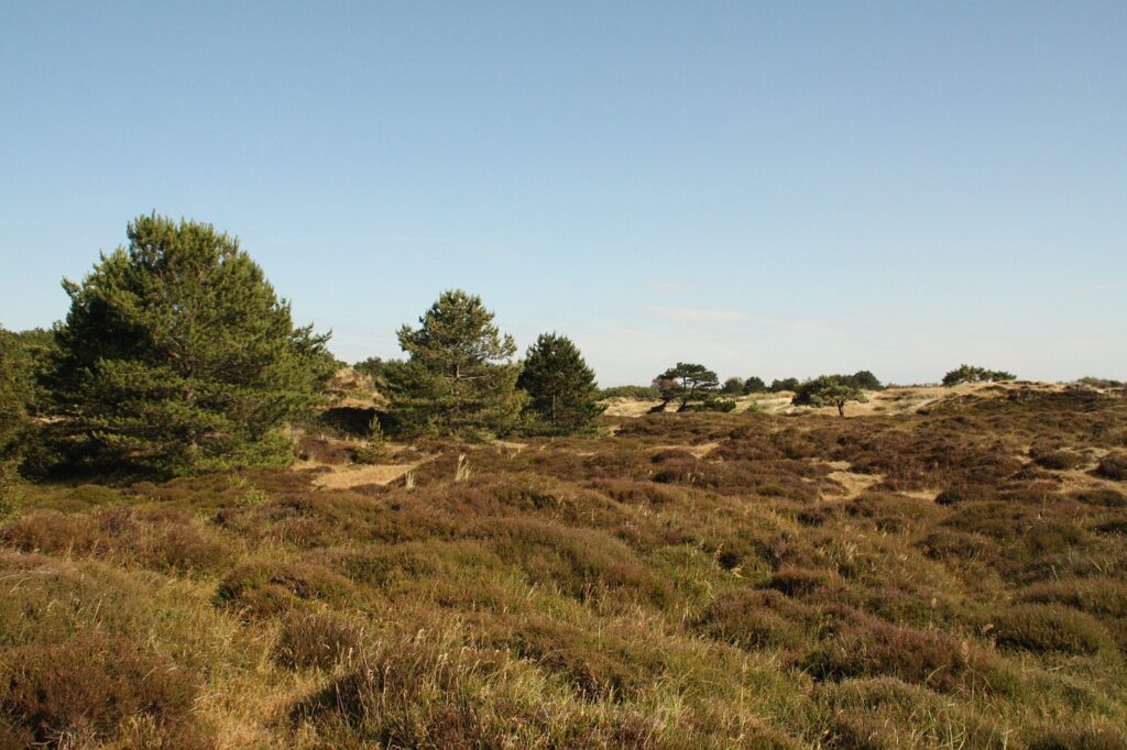 Vlieland