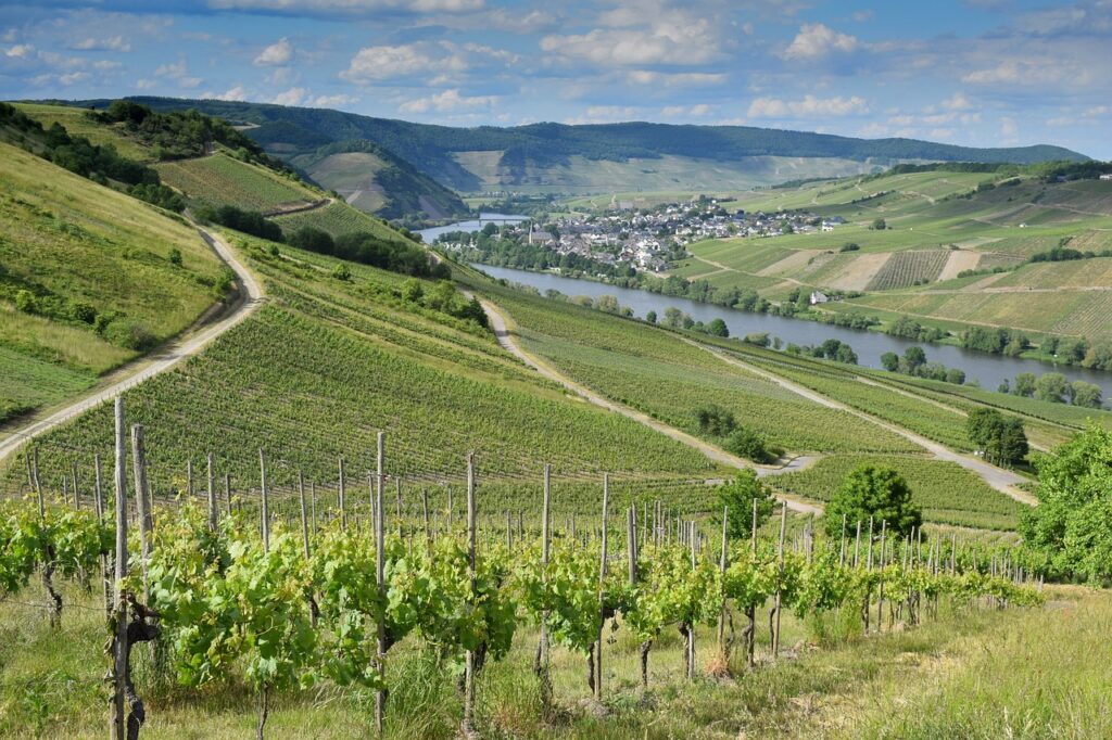 Mosel mit Kindern