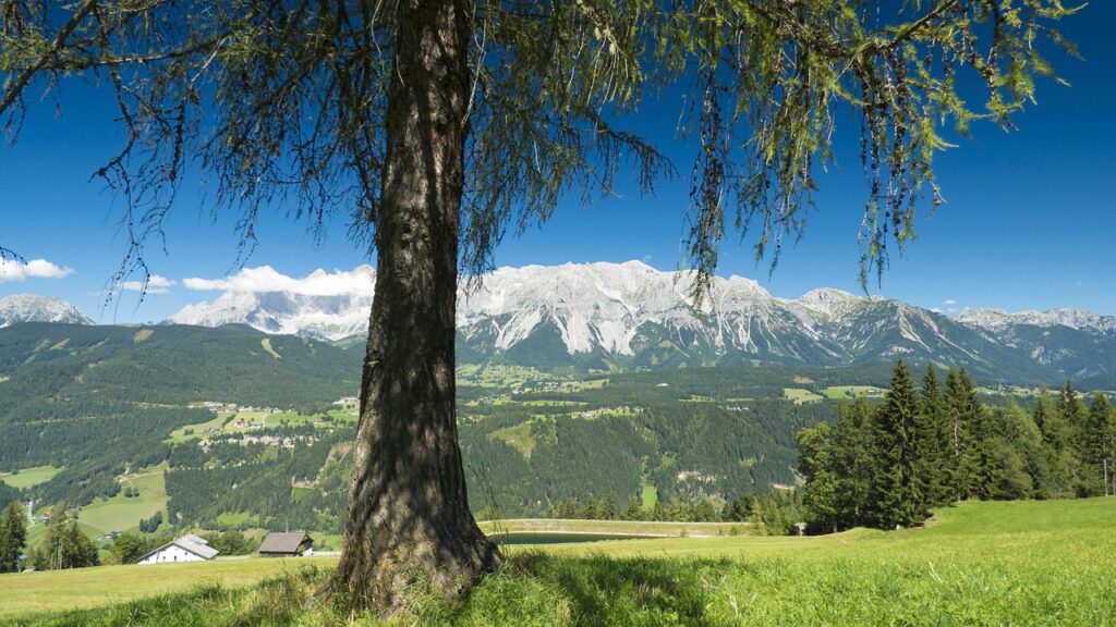 Steiermark mit Kindern