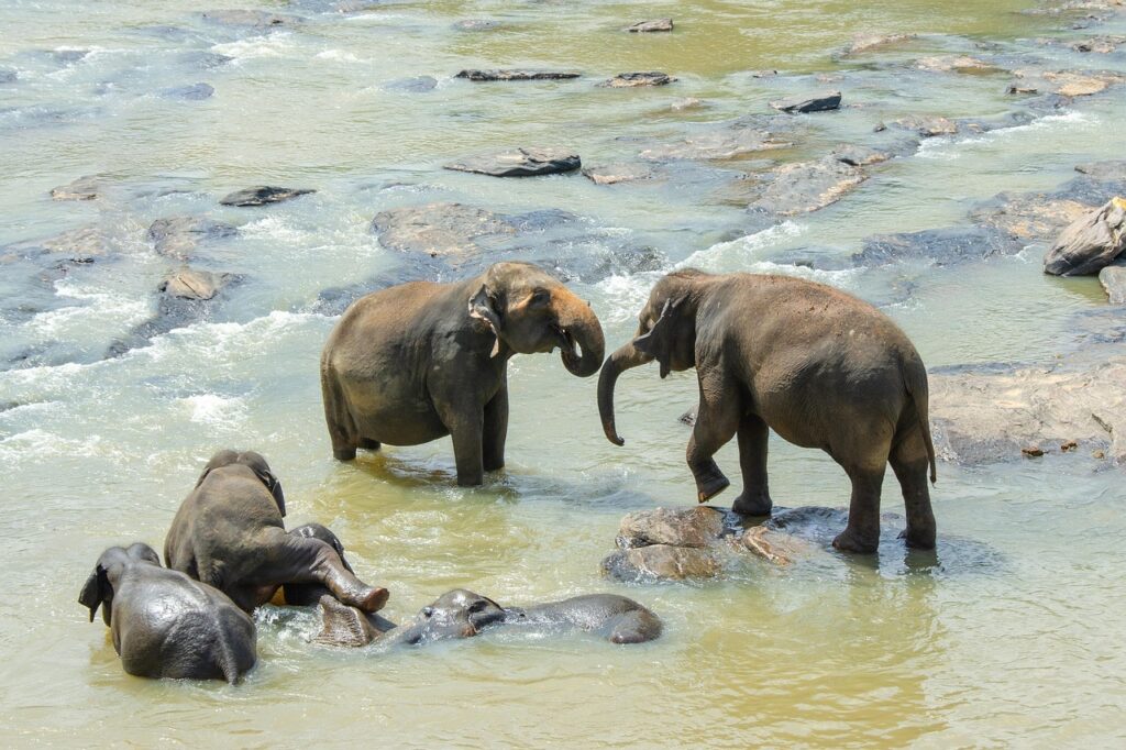 Sri Lanka mit Kindern