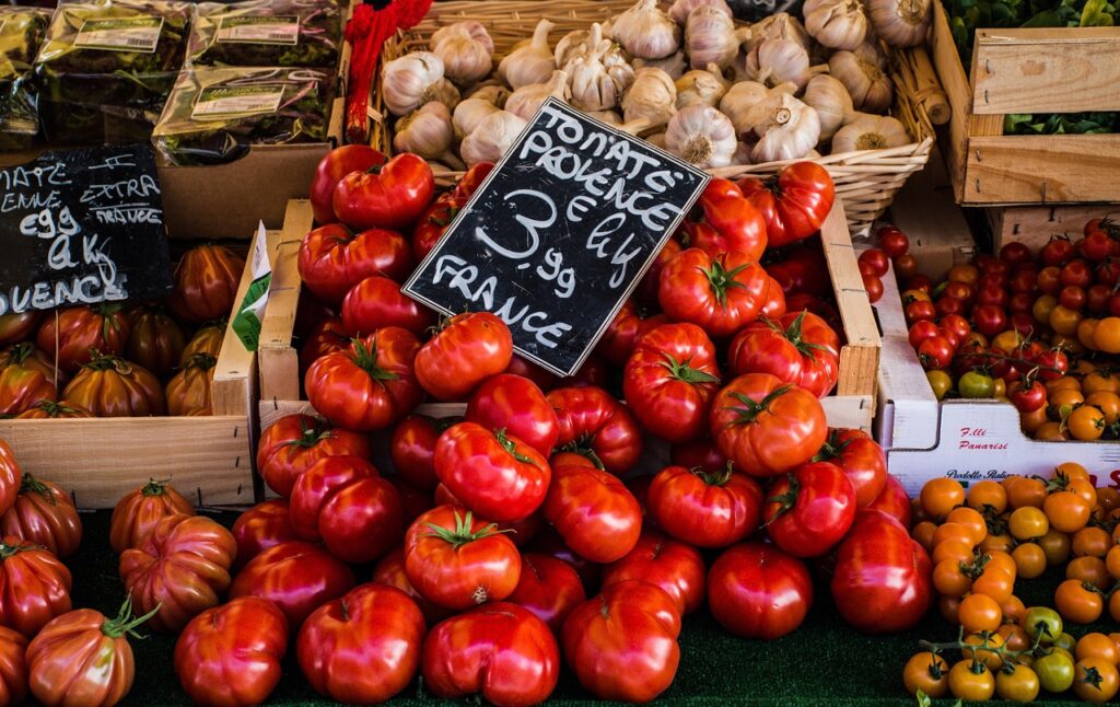 Provence mit Kindern