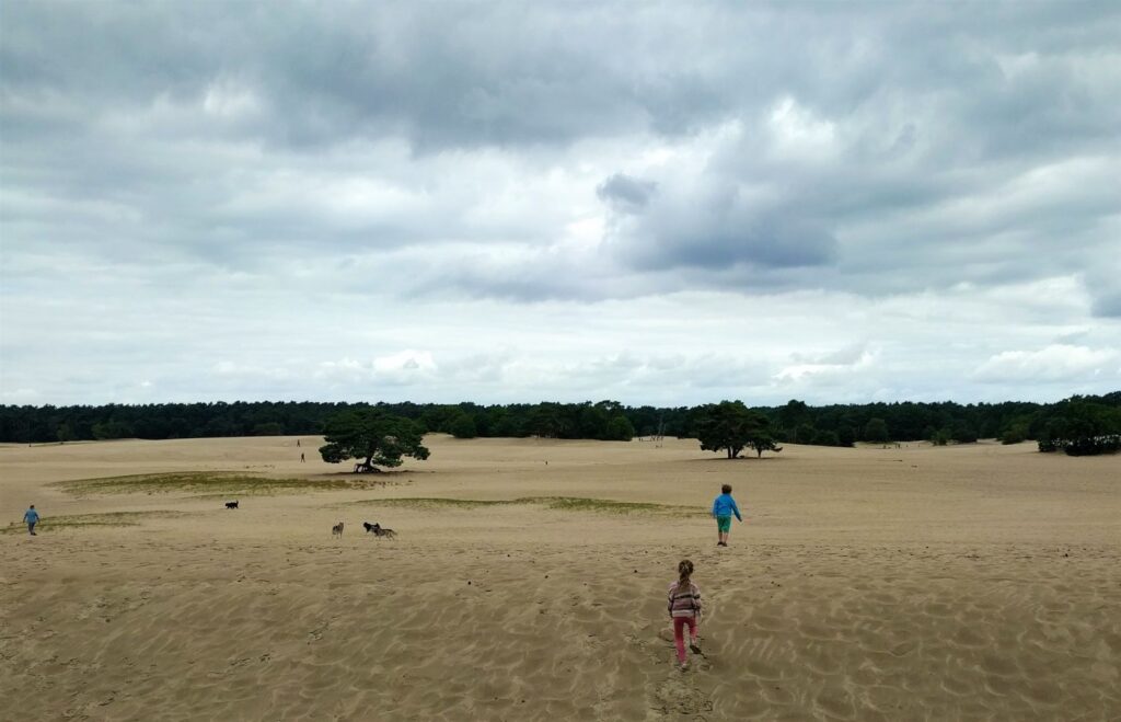 Urlaub Soest mit Kindern Ausflug