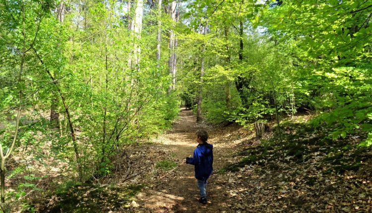 Urlaub Zeist mit Kindern