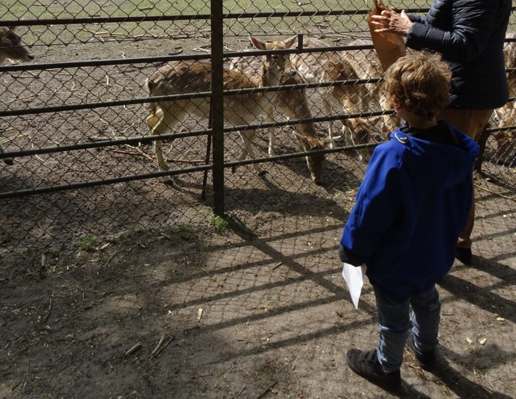 Hirschgehege Zeist mit Kindern