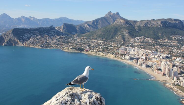 Alicante mit Kindern
