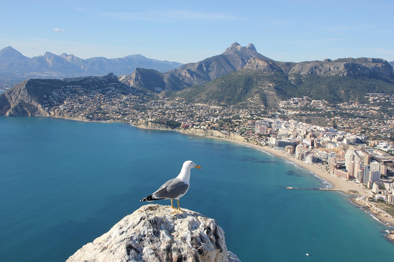 Alicante mit Kindern: 22x die schönsten Ausflüge 👉