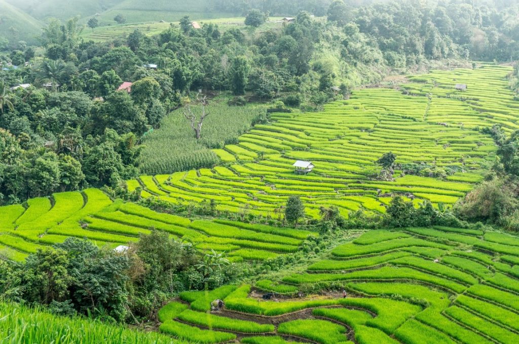 Chiang Mai mit Kindern Thailand