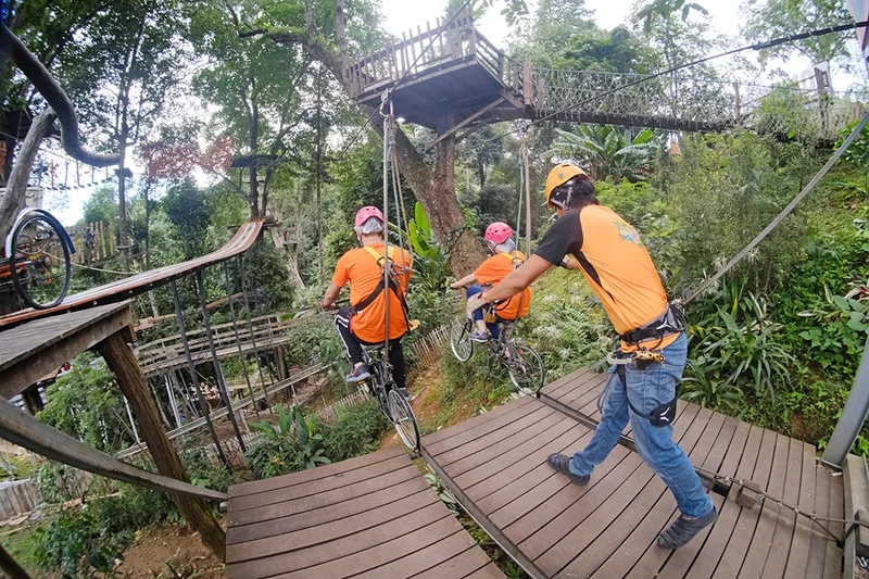 Jungle Coaster Zipline