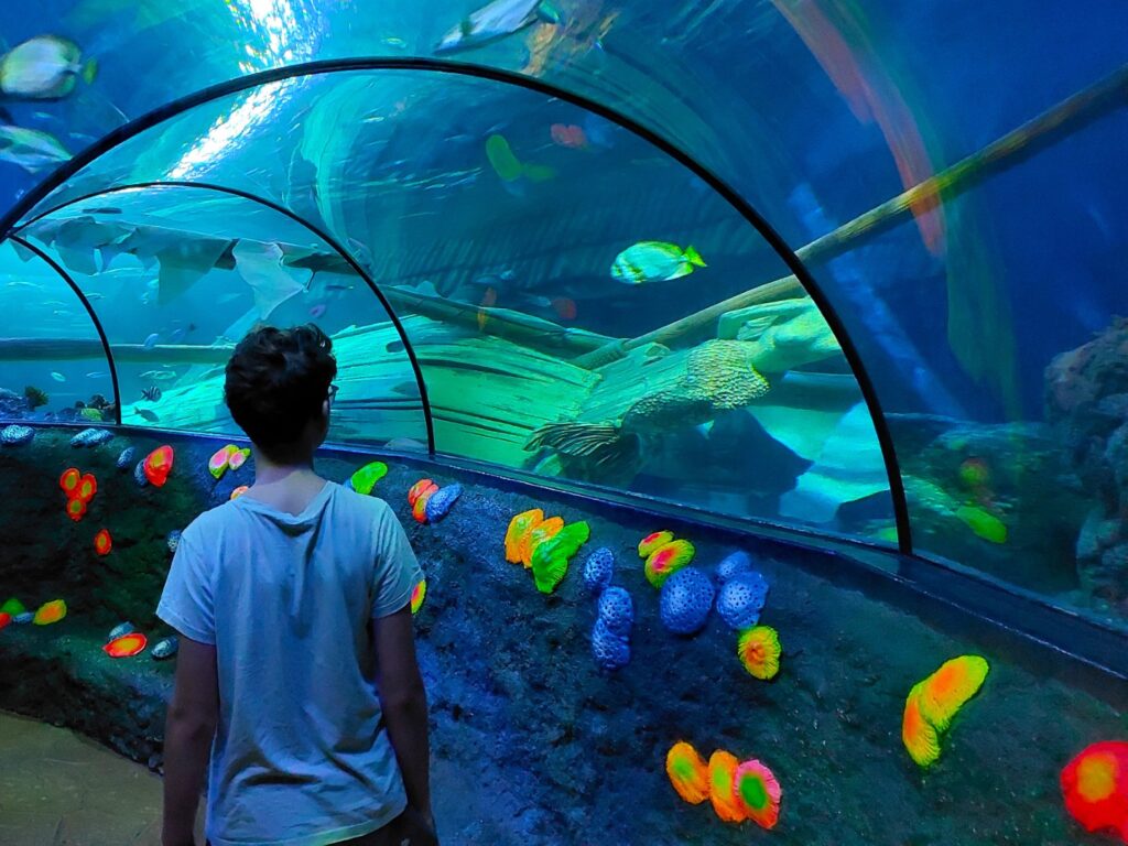 Sea Life Lazise